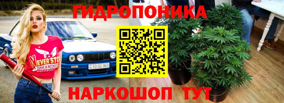 Бошки Шишки план  МАРИХУАНА VHQ  Вход с VPN  Всеволожск  Бошки Шишки семена 